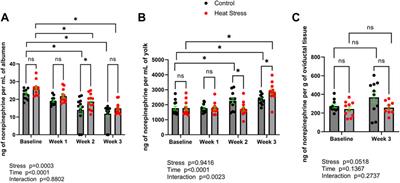 Catecholamine concentrations in duck eggs are impacted by hen exposure to heat stress